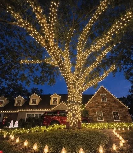 Large oak tree wrapped in warm white lights in front of a lit home, with bulb stakes along the path